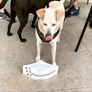 Dog Water Travel Bowl Foldable Reusable New